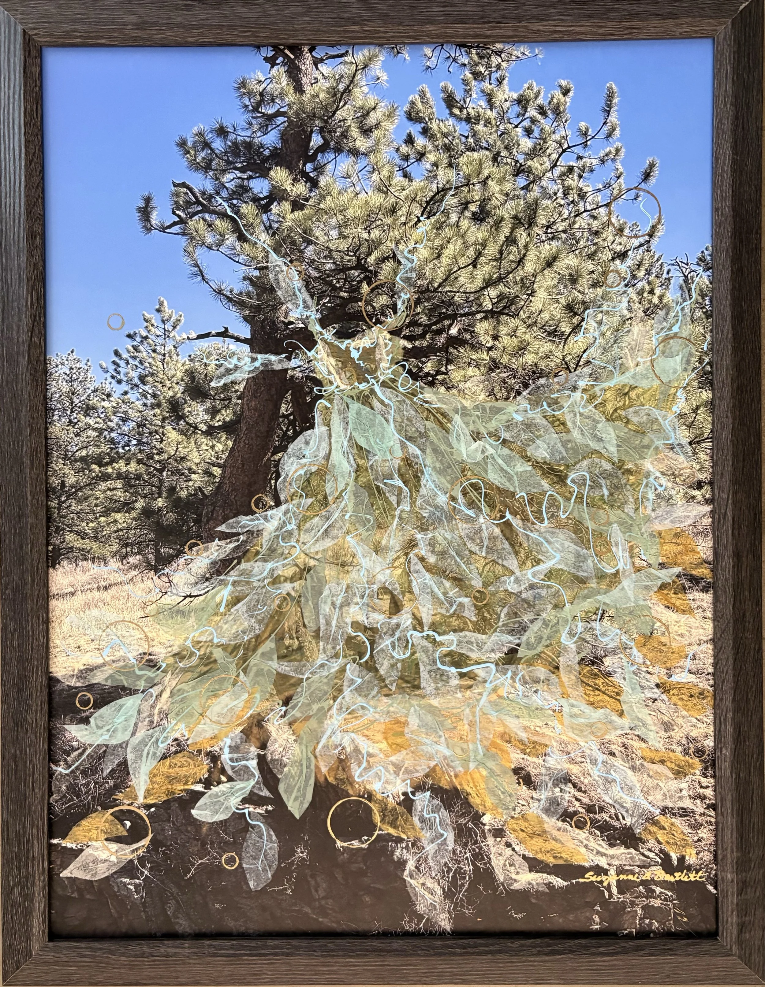 Suzanne Bartlett — Shop — Washington Printmakers Gallery